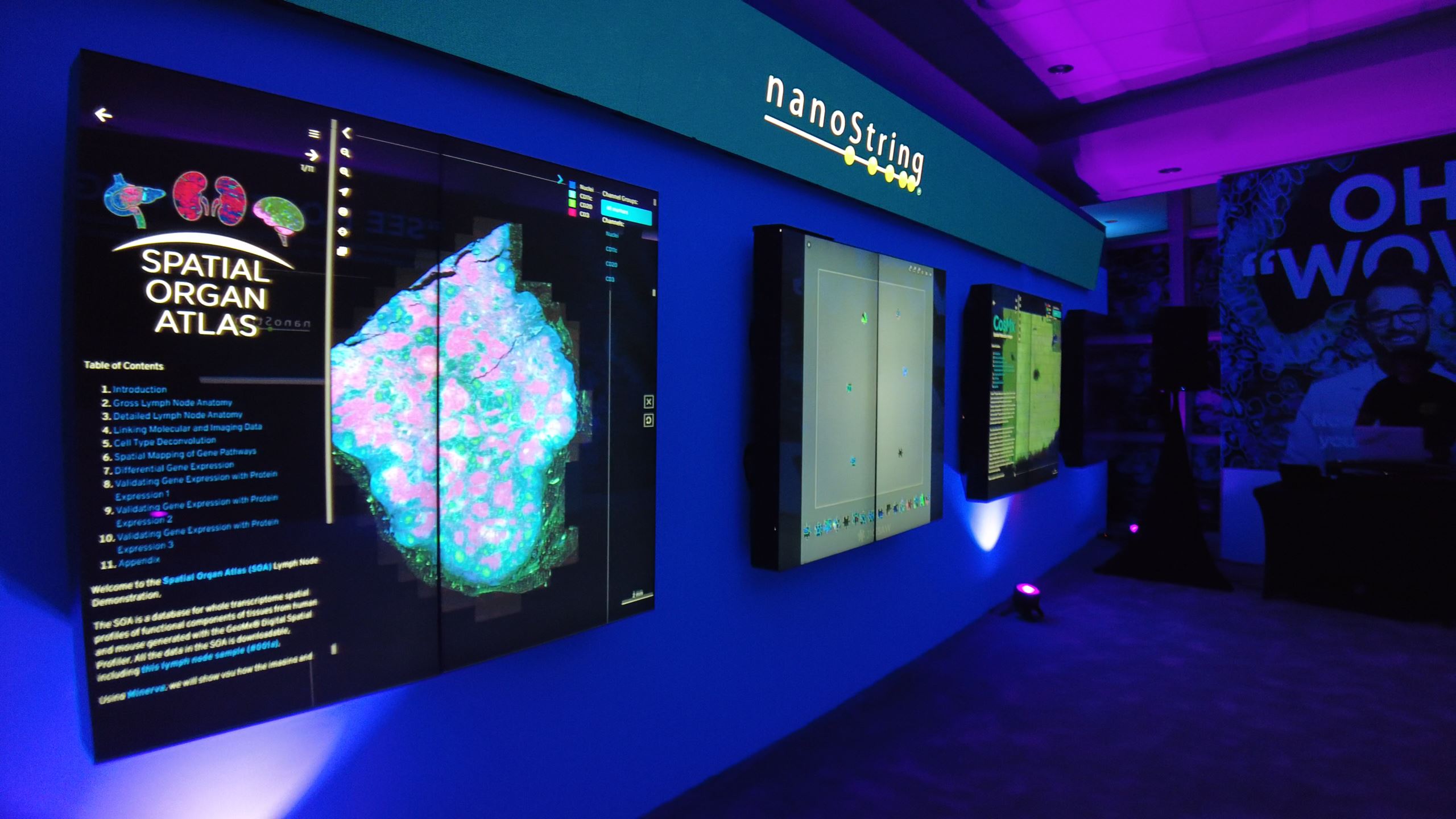 Multitaction Interactive Touch Screens